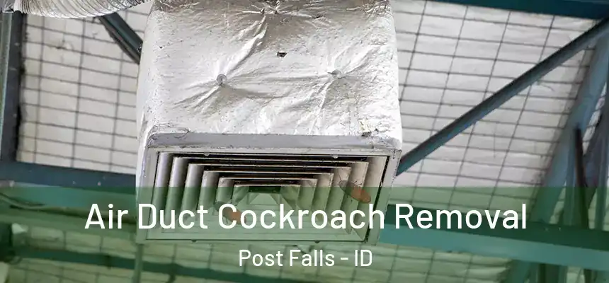  Air Duct Cockroach Removal Post Falls - ID