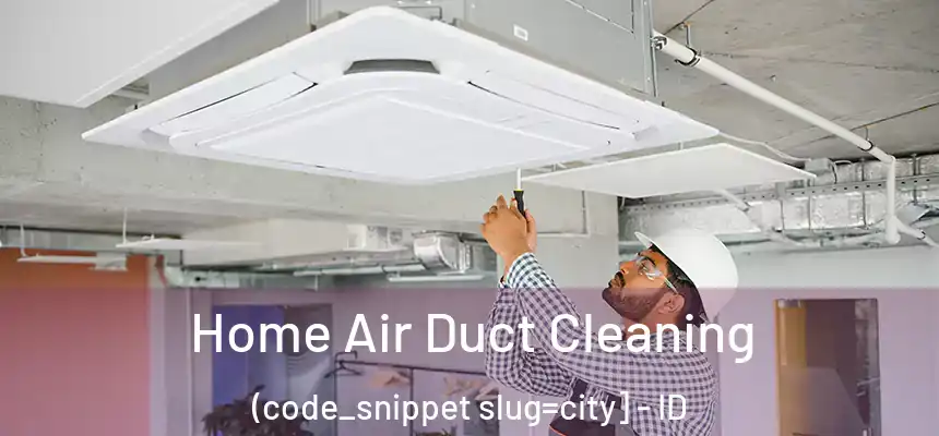  Home Air Duct Cleaning (code_snippet slug=city] - ID