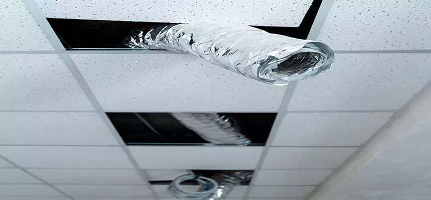 Affordable HVAC Sanitizing After Pest Removal in Post Falls