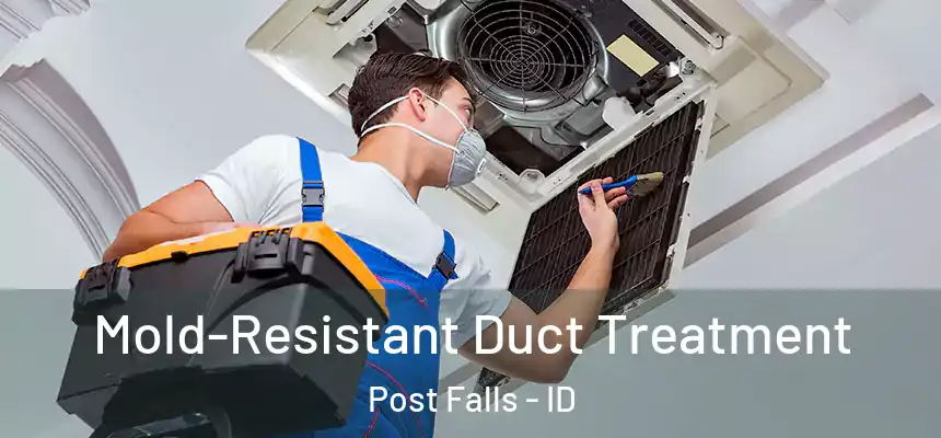  Mold-Resistant Duct Treatment Post Falls - ID