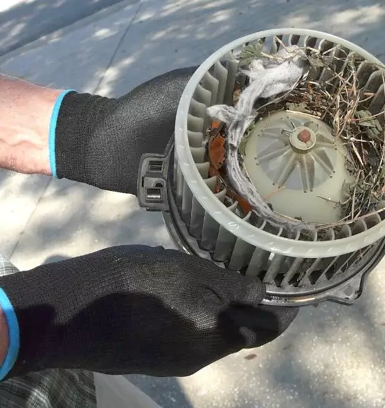 About Air Duct Mice Removal in Post Falls, ID