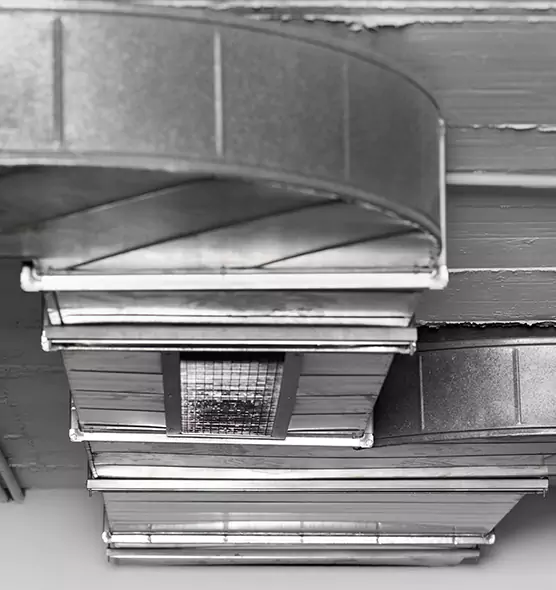 Professional Air Duct Pest Removal in Post Falls, ID