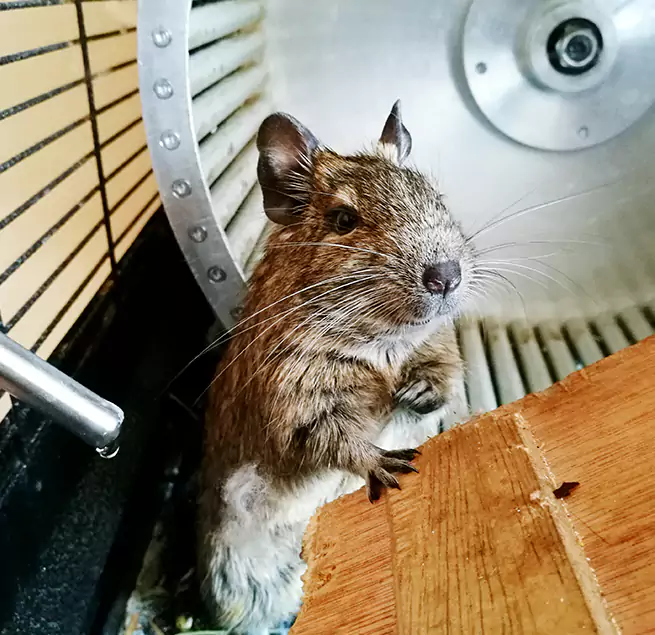 Why Homeowners & Businesses Trust Us Post Falls, ID?